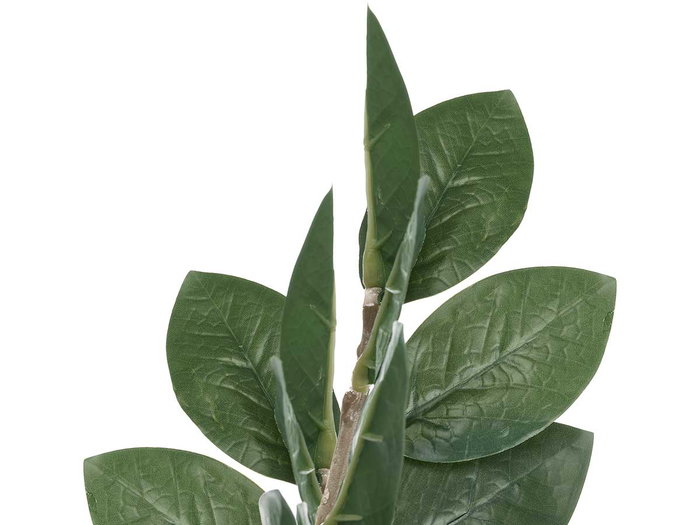 Ibergarden Plante Zamioculca 50 cm avec Pot Blanc/Marron/Vert Plastique et Mélamine 6 Branches (Set de 6)