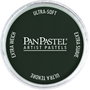 Panpastel Gris Neutro Extra Oscuro 1