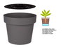 Ibergarden Pot en plastique gris avec réserve d'eau 35 cm 34 x 29 x 34 cm (Set de 6)