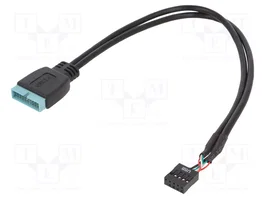 GEMBIRD Câble d'alimentation USB 2.0 9pin et USB 3.0 19pin 0,3m