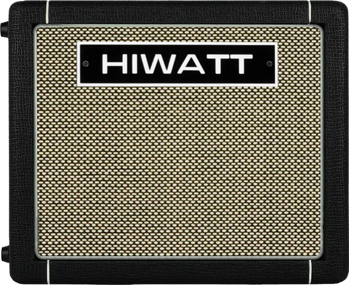 HIWATT GO40 Amplificateur Acoustique Combo 40W avec Bluetooth, Batterie Intégrée - Noir