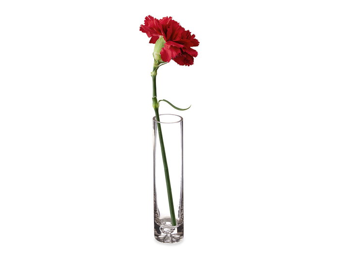 GIFTDECOR Vase en Cristal Ovalé Transparent