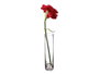 GIFTDECOR Vase en Cristal Ovalé Transparent