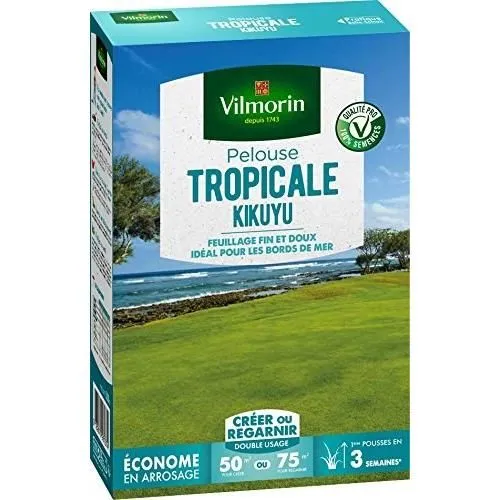 Vilmorin - Semences de gazon de bord de mer Kikuyu Les Tropicales - 500 g, pureté et germination supérieures, pour 50 m² de nouvelle pelouse