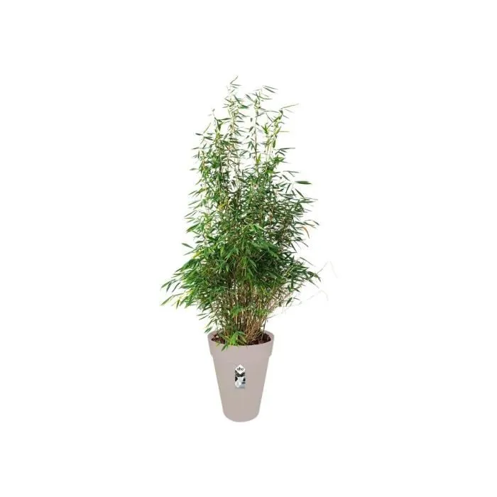 ELHO Pot de fleurs rond Loft Urban, réservoir d'eau intégré, plastique recyclé, Ø 42 cm, H 56 cm, 5 L, gris chaud pour extérieur ELHO Pot de fleurs rond Loft Urban, réservoir d'eau intégré, plastique recyclé, Ø 42 cm, H 56 cm, 5 L, gris chaud pour extérieur