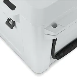 Dometic Patrol 35 - Glacière Isotherme 36L à Isolation PU Épaisse - Conserve la Glace Plusieurs Jours avec Bouchon de Vidange - Mist