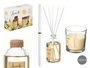 Acorde - Set Mikado 100 ml et Vela 30h Vanille: 19.5 x 15 x 7.5 cm (Set de 6)