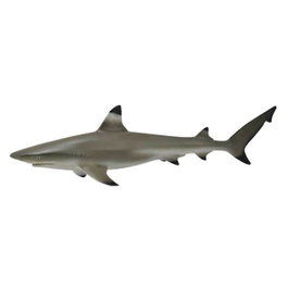 COLLECTA Requin à pointes noires - Taille M