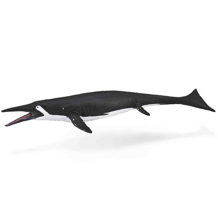 COLLECTA Shastasaurus - Taille L COLLECTA Shastasaurus - Taille L