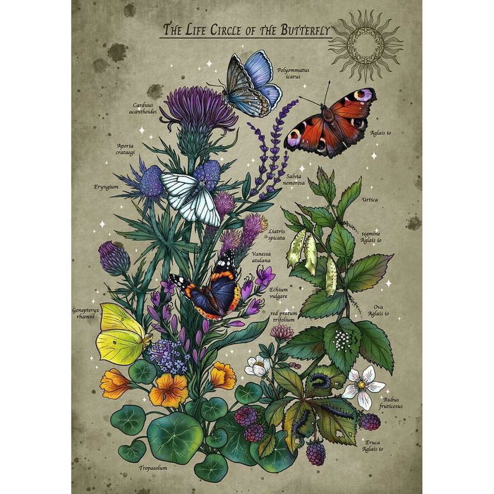 Ravensburger Puzzle Le Cercle de Vie du Papillon - 1000 pièces Ravensburger Puzzle Le Cercle de Vie du Papillon - 1000 pièces
