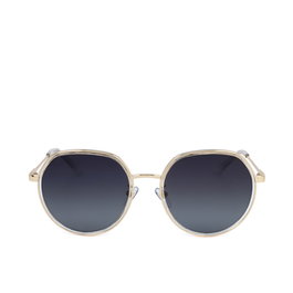Polaroid PLD 4160/G/S/X Lunettes de soleil unisexe pantos en acier inoxydable, verres polarisés UV400 catégorie 3 55-19-145