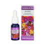 EQUISALUD FLOWER OF LIFE insomnio 15 ml