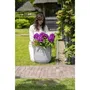 Capi Europe Jardinière Nature Rib Ivoire 35 x 34 cm - Pot de fleurs nervuré pour décoration intérieure et extérieure