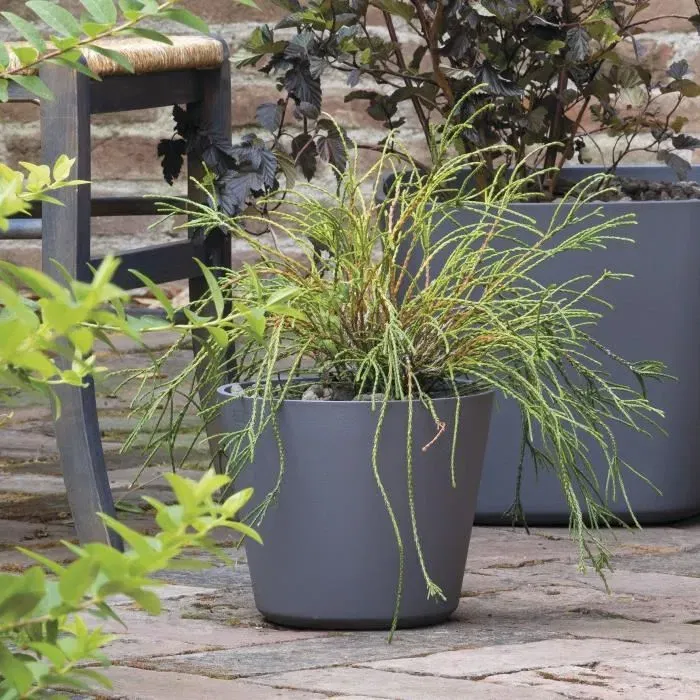 Deroma Pot de fleurs Origin, 29 x 24 cm, 11 L, Gris - Pot en plastique recyclé résistant au gel et aux UV