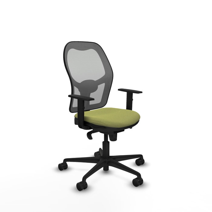 Chaise de Bureau Piqueras y Crespo 1D036N0 Vert Chaise de Bureau Piqueras y Crespo 1D036N0 Vert