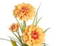 Ibergarden Plante Fleur Ouverte Pot Métal Couleurs Assorties 15x31x15 cm (Set de 12)