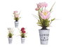 Ibergarden Plante Fleur Ouverte Pot Métal Couleurs Assorties 15x31x15 cm (Set de 12)
