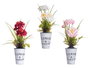 Ibergarden Plante Fleur Ouverte Pot Métal Couleurs Assorties 15x31x15 cm (Set de 12)