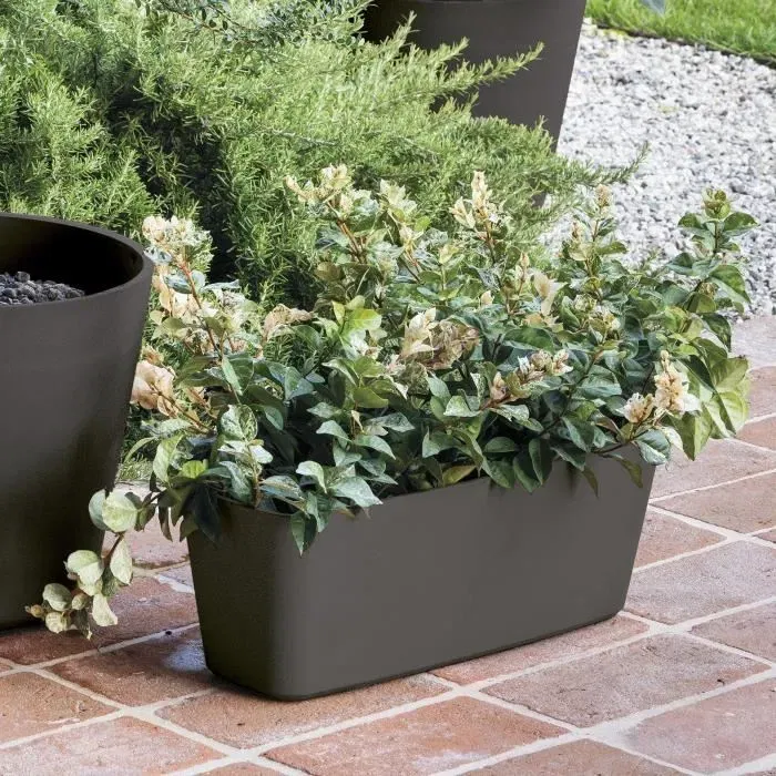 Deroma Jardinière Origin 49.5x19 cm 12 L Anthracite - Bac à fleurs en plastique recyclé résistant au gel et aux UV