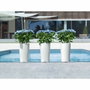 Lechuza Cilindro Color 32 Blanc