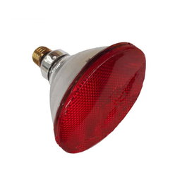 Philips Ampoule PAR38 Infrarouge 100W E27 Rouge Usage Thérapeutique 120°