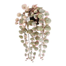 Mica Decorations Maceta suspendue Ceropegia woodii collier de cœurs rose, 12 x 10 x 46 cm