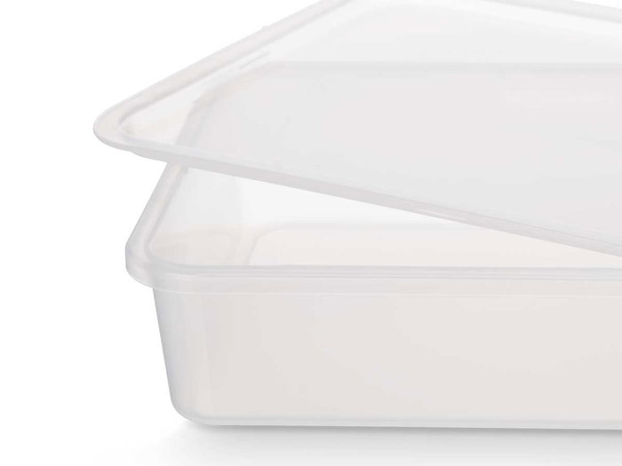 Leknes Boîte de conservation 24 x 16 x 5.1 cm Plastique PP Transparente (Set de 24)