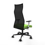 Piqueras y Crespo Chaise de Bureau Albacete Pistache et Noir