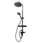 Ensemble de douche monocommande Noir en Laiton/Zinc/Inox/ABS