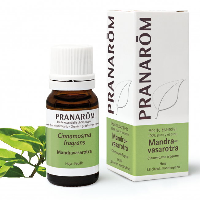 PRANAROM Huile essentielle Mandravasarotra 10 ml