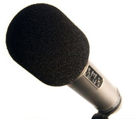 RODE WS2 Paravent Anti-Vent pour Micros K2 NTK NT2000 NT2-A NT1000 NT1-A Podcaster Procaster Broadcaster