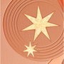 Clarins BRONZING COMPACT Poudre Bronzante Édition Limitée
