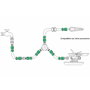 SATURNIA Raccord tuyau plastique 1/2 avec Stop blister