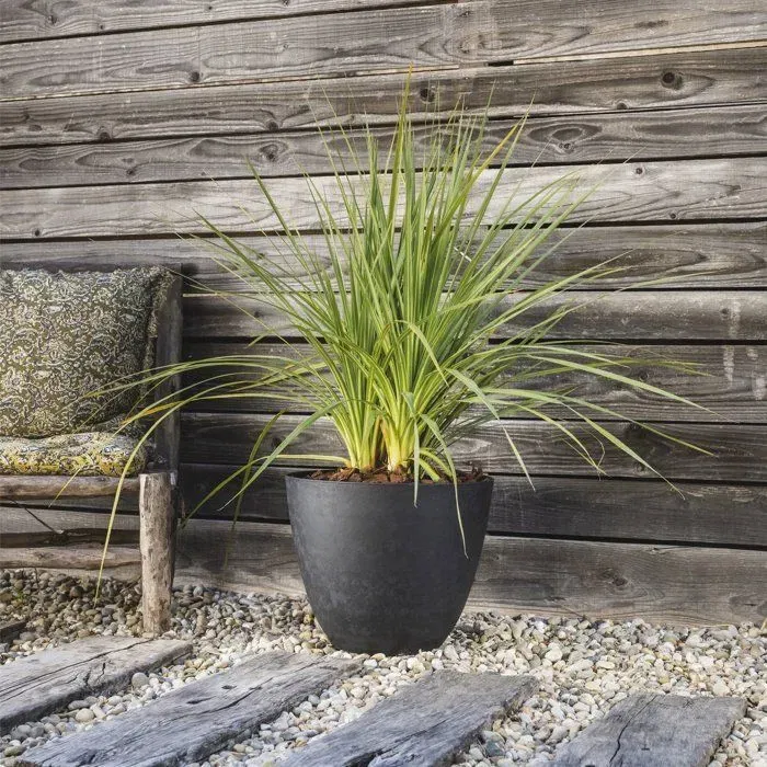 Eda Element Pot de fleurs rond intérieur/extérieur Ø 40 cm (26,2 L) résistant au gel et aux UV, couleur gris anthracite, fabriqué en France