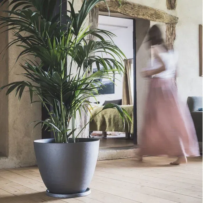 Eda Element Pot de fleurs rond intérieur/extérieur Ø 40 cm (26,2 L) résistant au gel et aux UV, couleur gris anthracite, fabriqué en France