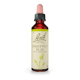 FLORES BACH ORIGINAL FLORES BACH CHESTNUT BUD brote castaño
