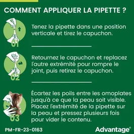 Advantage Solution Antipuce Chat et Lapin 1 à 4 kg - Lot de 6 Pipettes, Traitement et Prévention des Infestations par Puces (Moins de 12h)