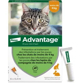 Advantage Solution Antipuce Chat Lapin 1 à 4kg, 6 pipettes