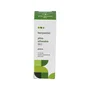 Terpenic Huile Essentielle de Pin Sylvestre BIO 10 ml