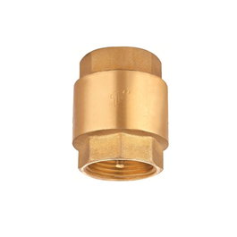 Verhal Valve de retenue H-H 1/2 pouce renforcée