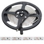 Tira de LED SMD3528 600 LEDs 48W Blanco Frío 6000K 5m