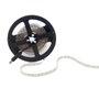 Tira de LED SMD3528 600 LEDs 48W Blanco Frío 6000K 5m