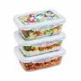 Pyrex Lunch Box - Lot de 3 boîtes en verre borosilicate rectangulaires, couvercle hermétique, design abstrait - 0.80 L - Résistant du congélateur au four (-40°C à +350°C)