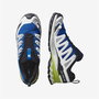 Chaussures de trail pour homme (course en montagne) Salomon Xa Pro 3D V9 Bleu