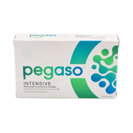 PEGASO INTENSIVE 14 capsules