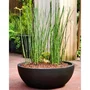 RIVIERA Pot de Fleurs Granit - Coupe en Polypropylène Noir, Diamètre 40 cm Hauteur 15 cm