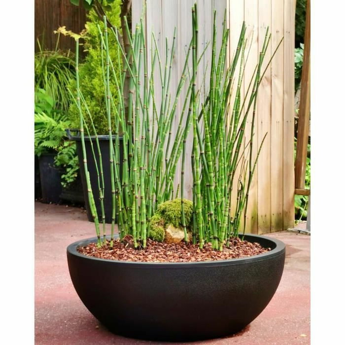 Riviera Pot de fleurs Granit Noir Ø 40 cm H 15 cm
