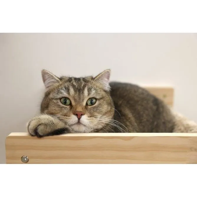 Kerbl - Hamac mural pour chat TIMBER, 38 x 33.5 x 16 cm, bois massif, tissu peluche détachable et lavable