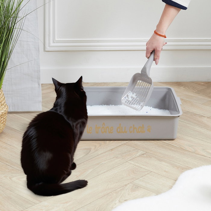 The Concept Factory Litière pour Chats avec Pelle, Grise