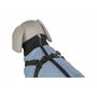 Manteau pour chien Trixie Pontis Bleu Gris XS